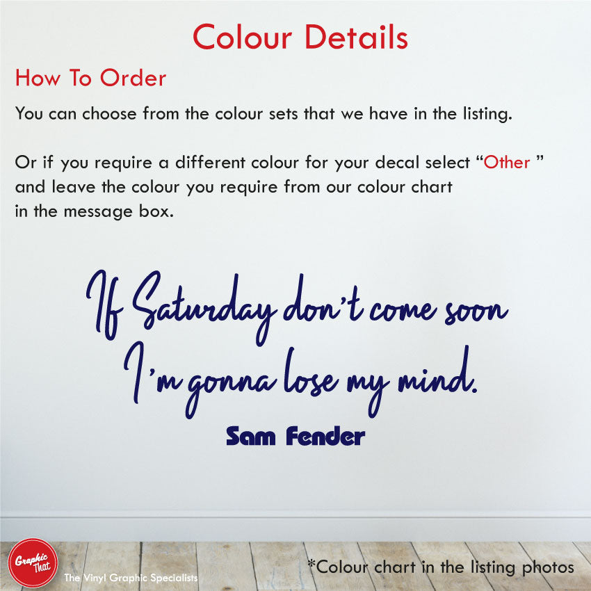 Sam Fender Saturday Music Lyrics Wall Decal